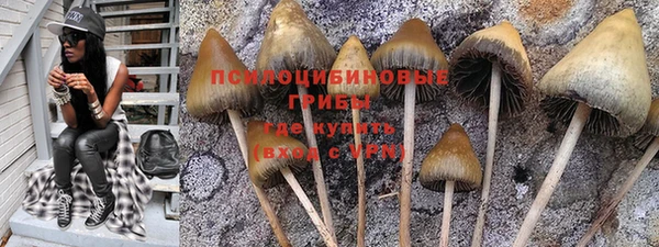 МДПВ Наволоки