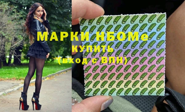стафф Надым