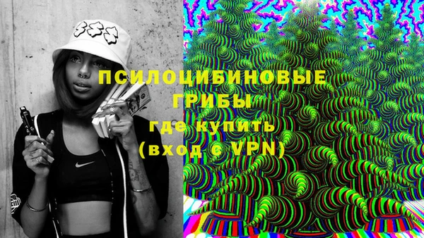 стафф Надым